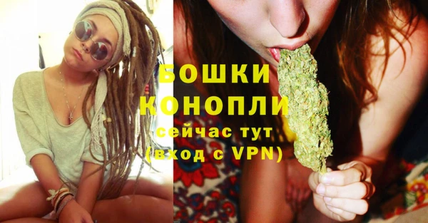 стаф Сафоново