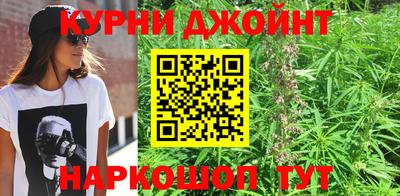 шишки Рузаевка