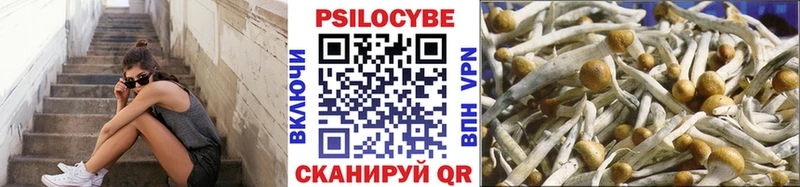 Галлюциногенные грибы MAGIC MUSHROOMS гидра ССЫЛКА Сунжа наркошоп