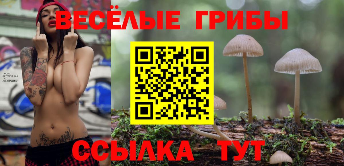 Сунжа  Псилоцибиновые грибы Cubensis  Галлюциногенные грибы Cubensis  Вход с VPN 