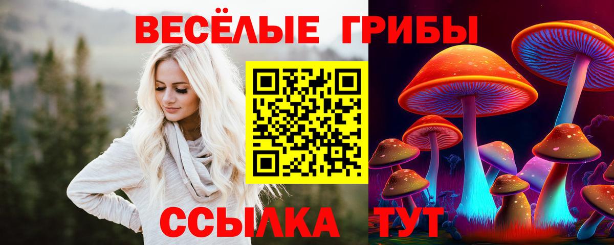 Псилоцибиновые грибы мицелий Сунжа