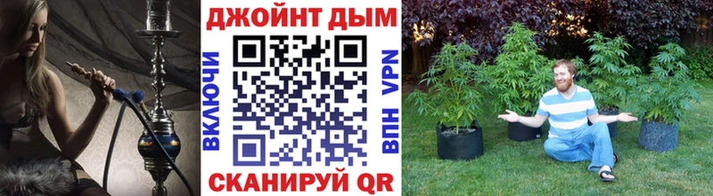 купить  цена  Сунжа  Канабис THC 21% 